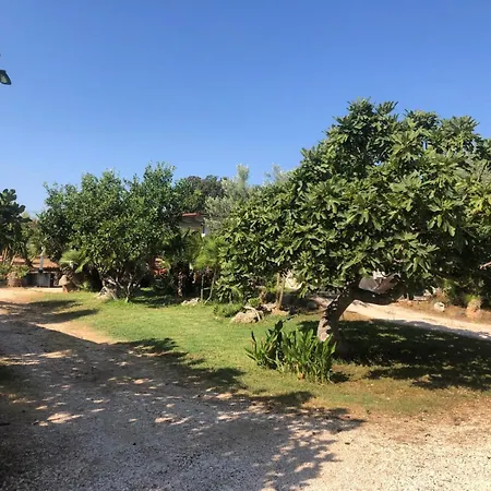Nicchia Turchese Holiday home *